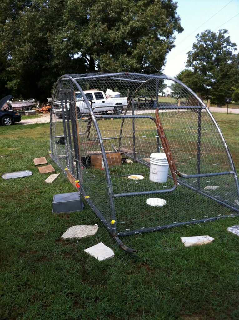 Trampoline Chicken Coop