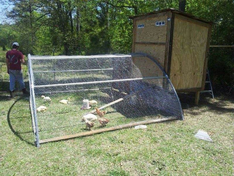 Trampoline Chicken Coop