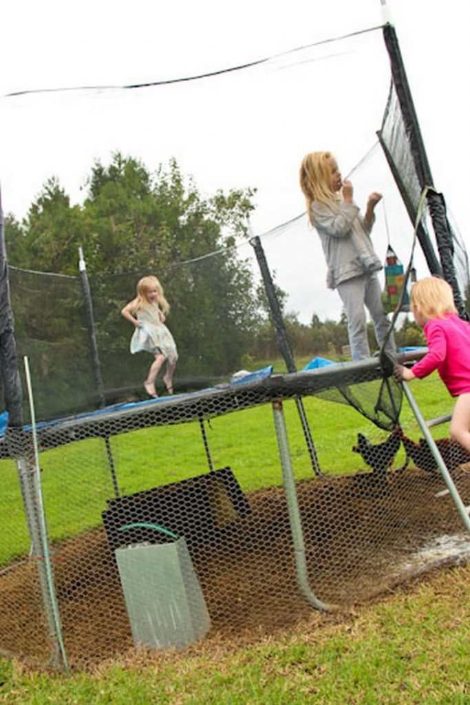 Trampoline Chicken Coop