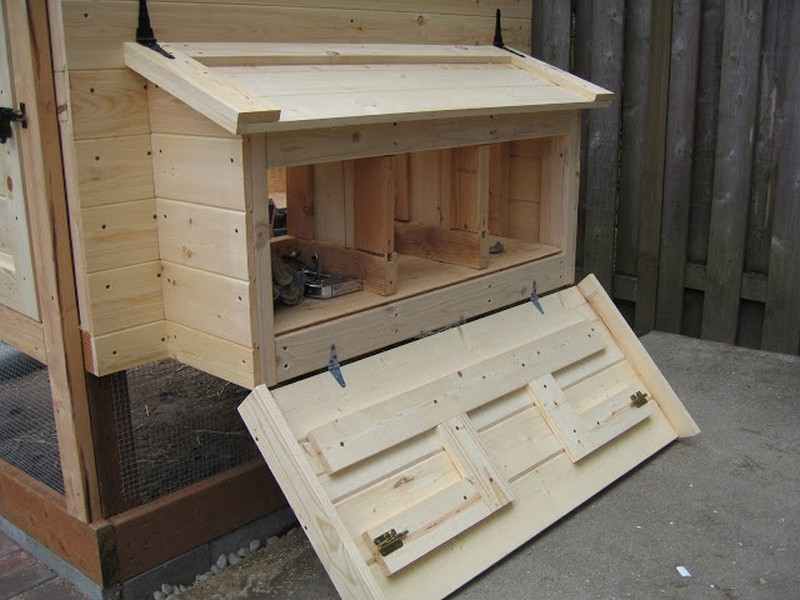 Homemade Chicken Coop - Side open door