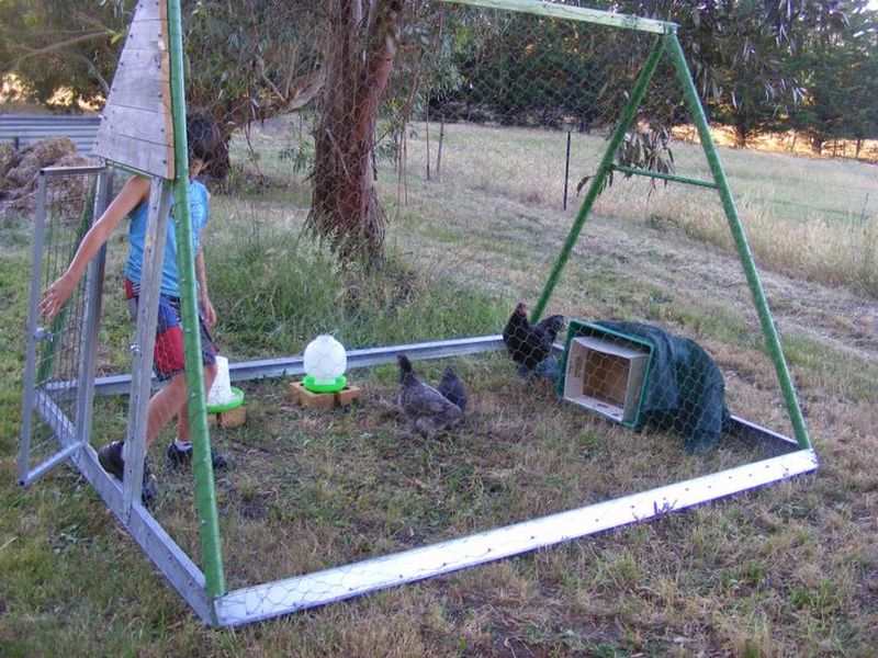 Swign set chicken coop