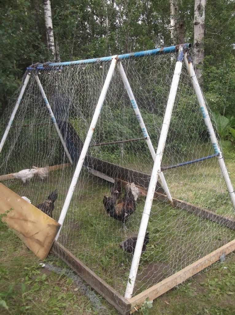 Swing set chicken coop