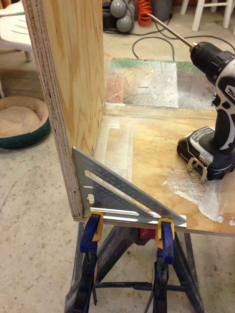 DIY Paint Storage Cabinet