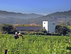 Cherry Blossom House - Exterior