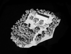 Cherry Blossom House - Model