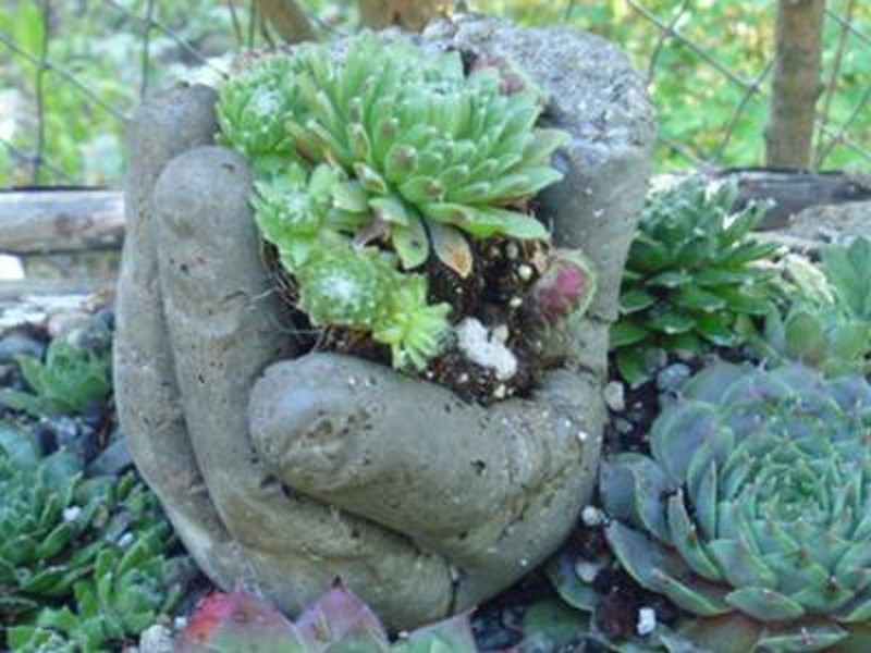 DIY Hand Planters - Finished Hand Planters