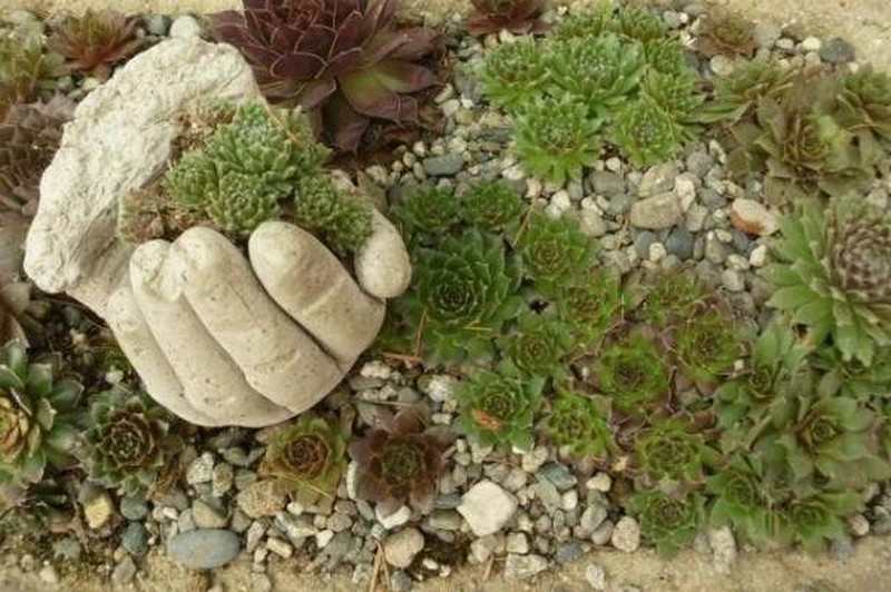 DIY Hand Planters - Finished Hand Planters