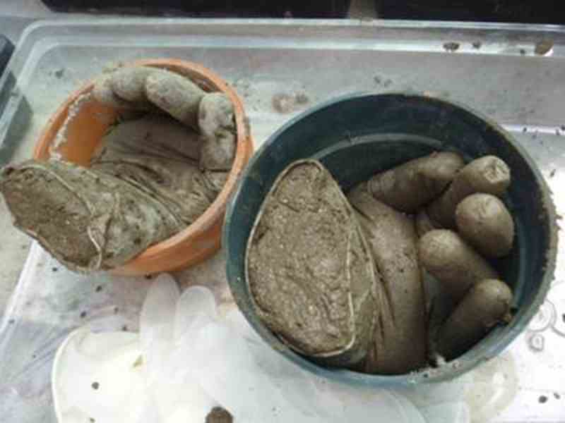 DIY Hand Planters - Putting Concrete