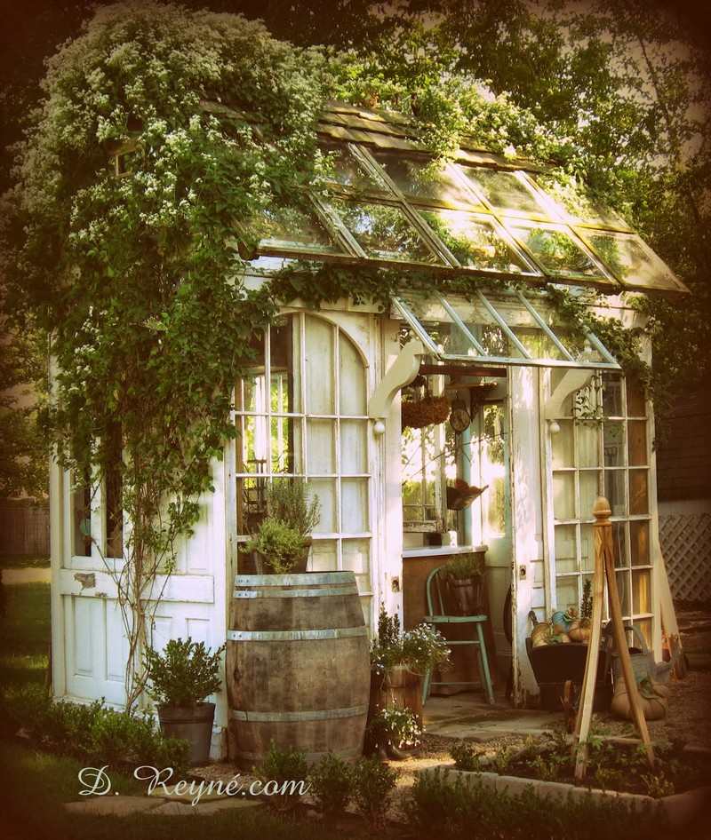 6. Tinker - D. Reyne