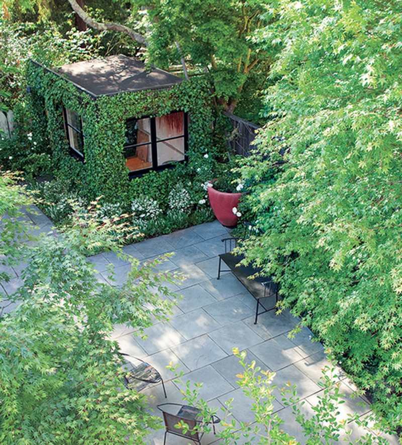 9. Ivy Covered Shed - Cube Me