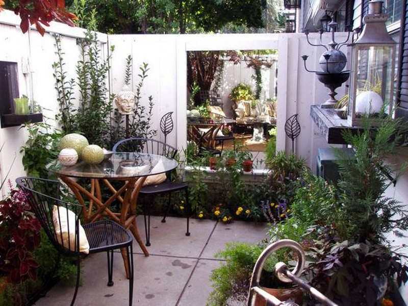 Lovely small garden courtyard.