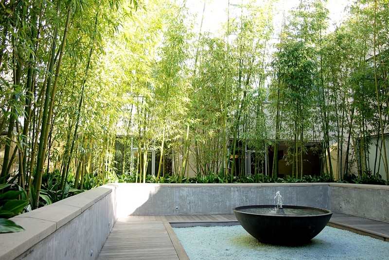 Modern courtyard surrounded by bamboo.