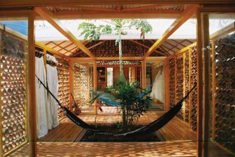 Forest-for-a-moon-dazzler