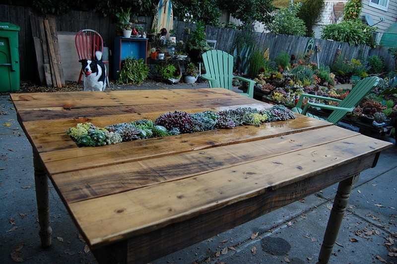 DIY Succulent Table: Recycled Pallets and Table Legs - The Owner-Builder Network