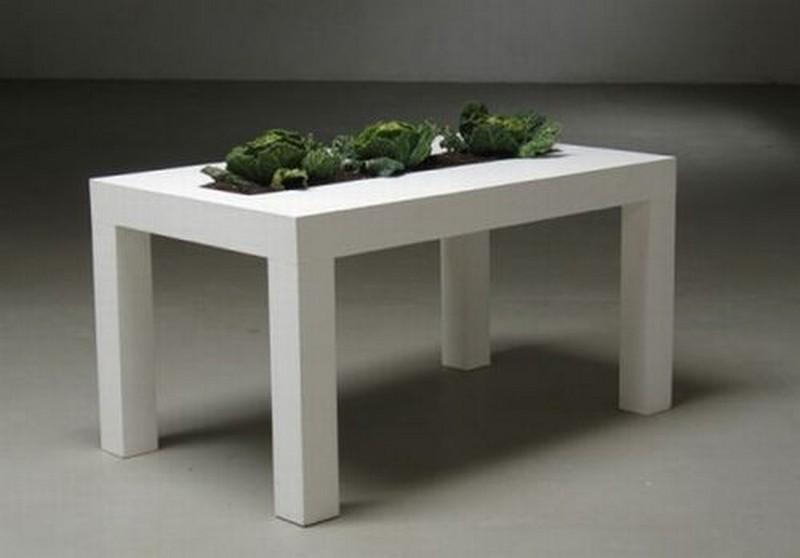Minimalist Kitchen Table with Built-In Planter - imgfave