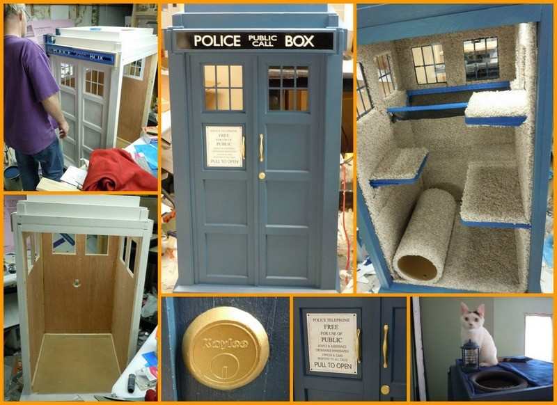 Tardis Cat Fort - The Owner-Builder Network