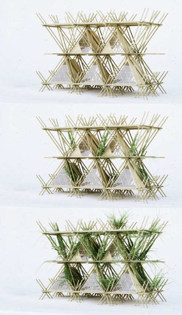 penda_OneWithTheBirds (7)