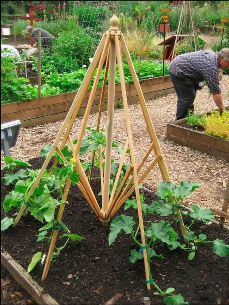 Trellis made from old patio umbrella.