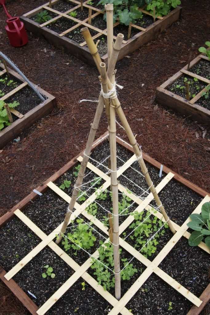 Trellis made from bamboo.