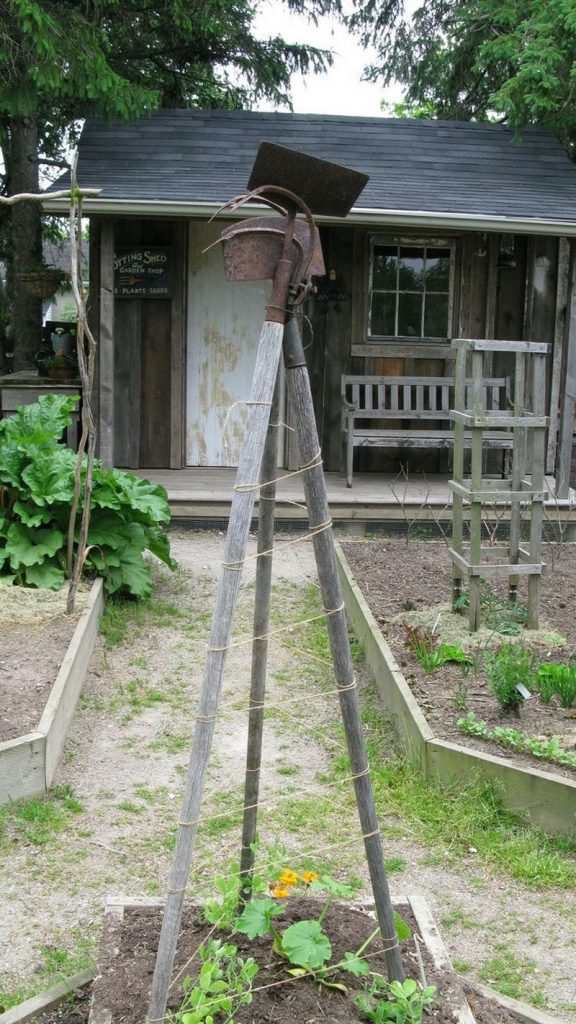 Trellis made from old garden tools.