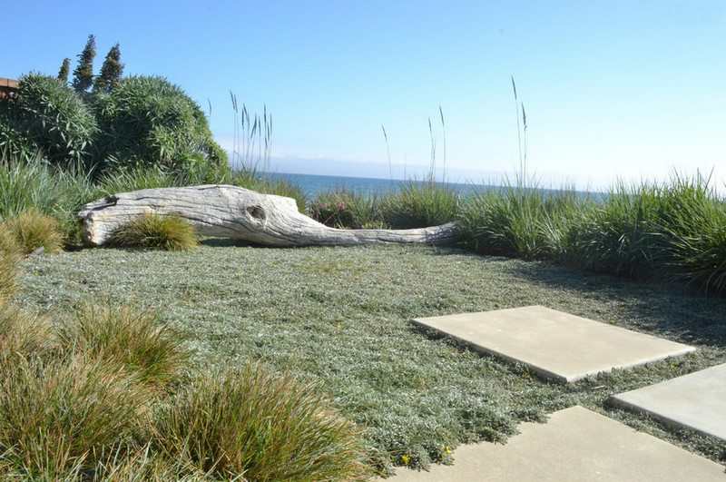 Or just as a landscape feature - Jeffrey Gordon Smith Landscape Architecture