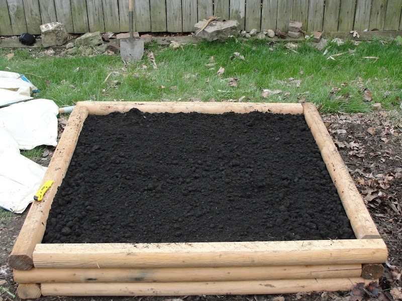 raised garden bed