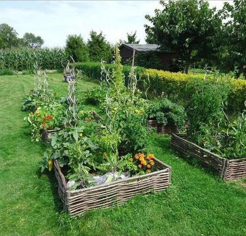 raised garden bed