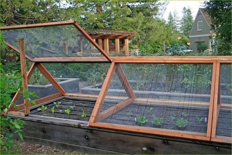 raised garden bed
