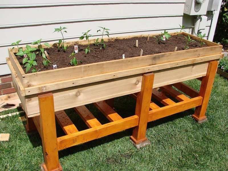 raised garden bed
