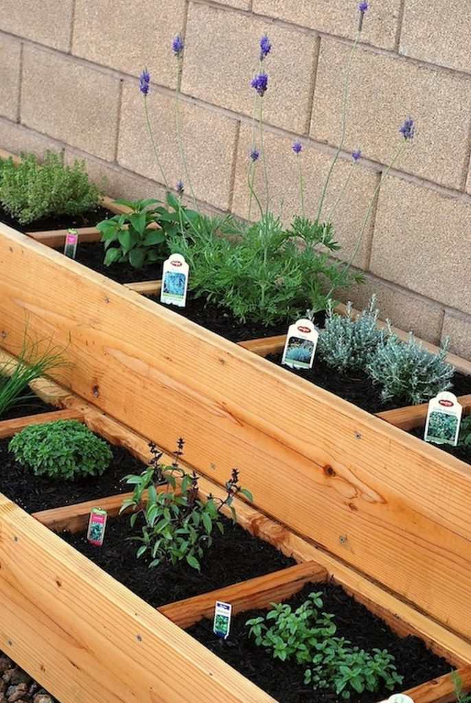 raised garden bed