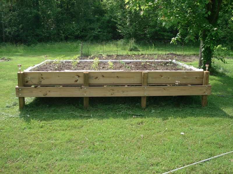 raised garden bed
