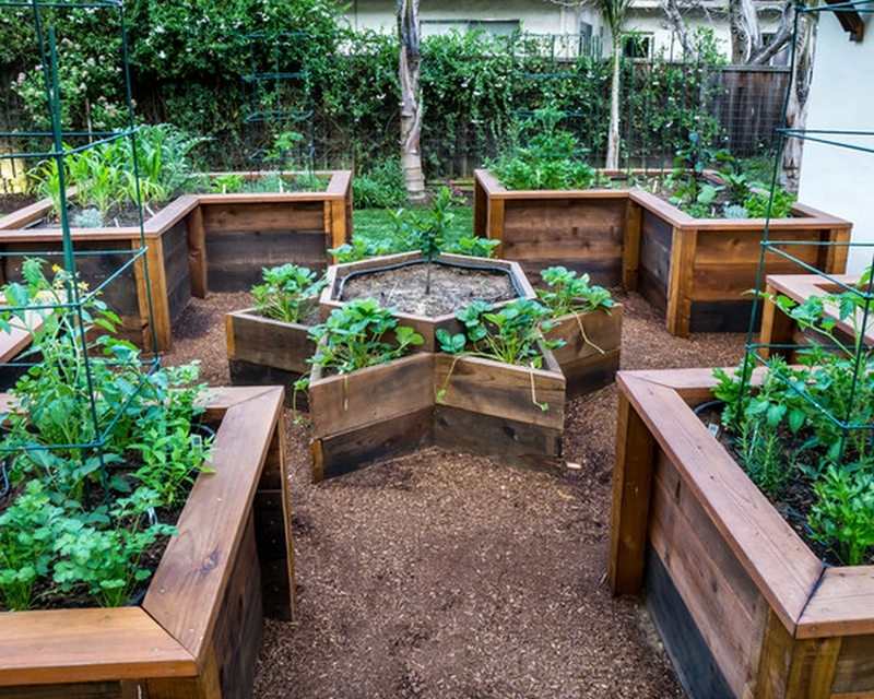 raised garden bed