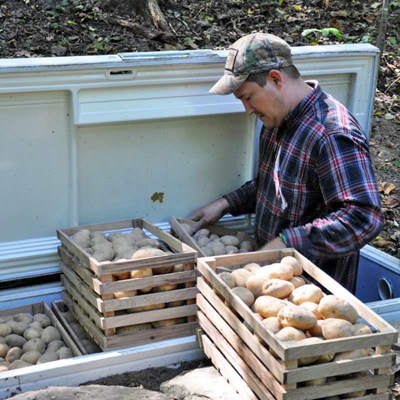 Buried Freezer Root Cellar