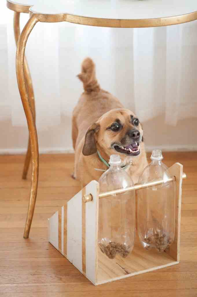 Spinning Plastic Bottle Dog Treat Game