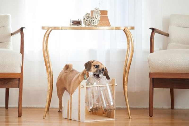 Spinning Plastic Bottle Dog Treat Game