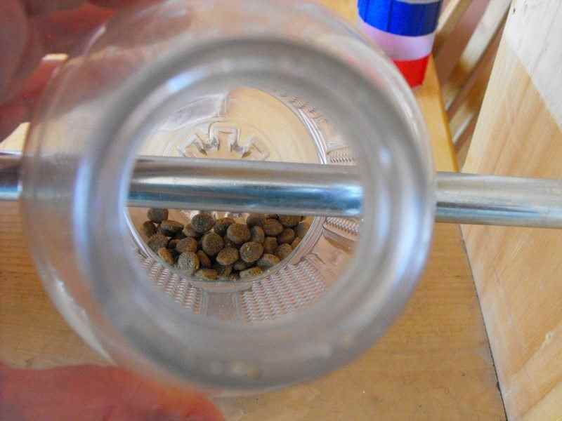 Spinning Plastic Bottle Dog Treat Game