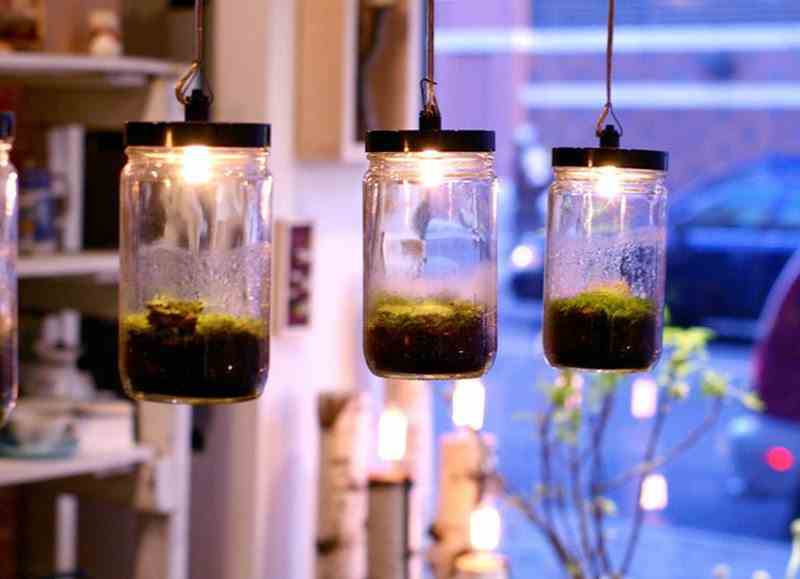 Pendant Terrarium Lamps