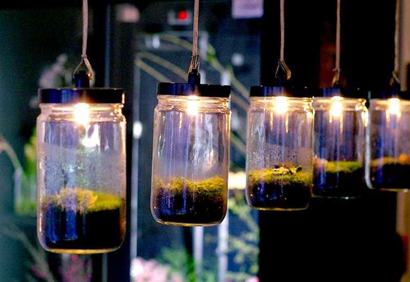 Pendant Terrarium Lamps