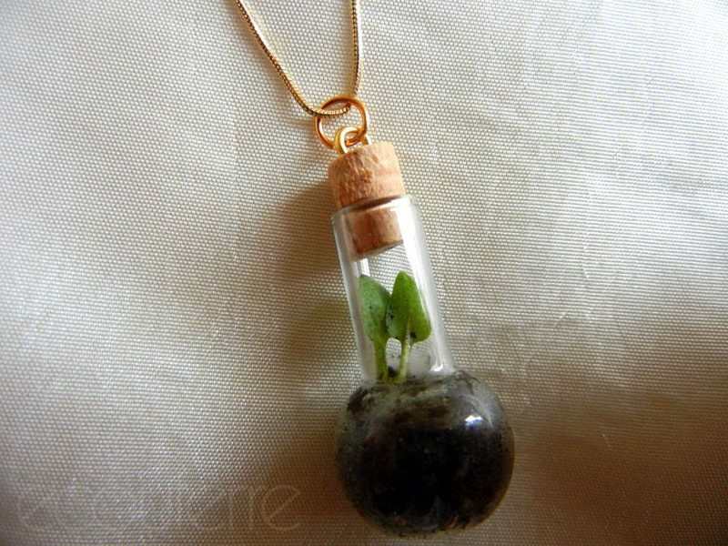 Terrarium Necklace