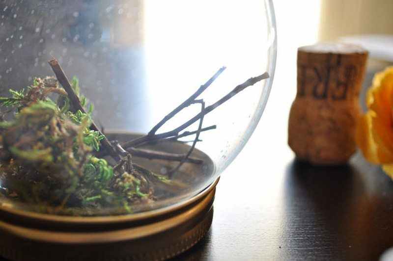 DIY Terrarium Place Holder