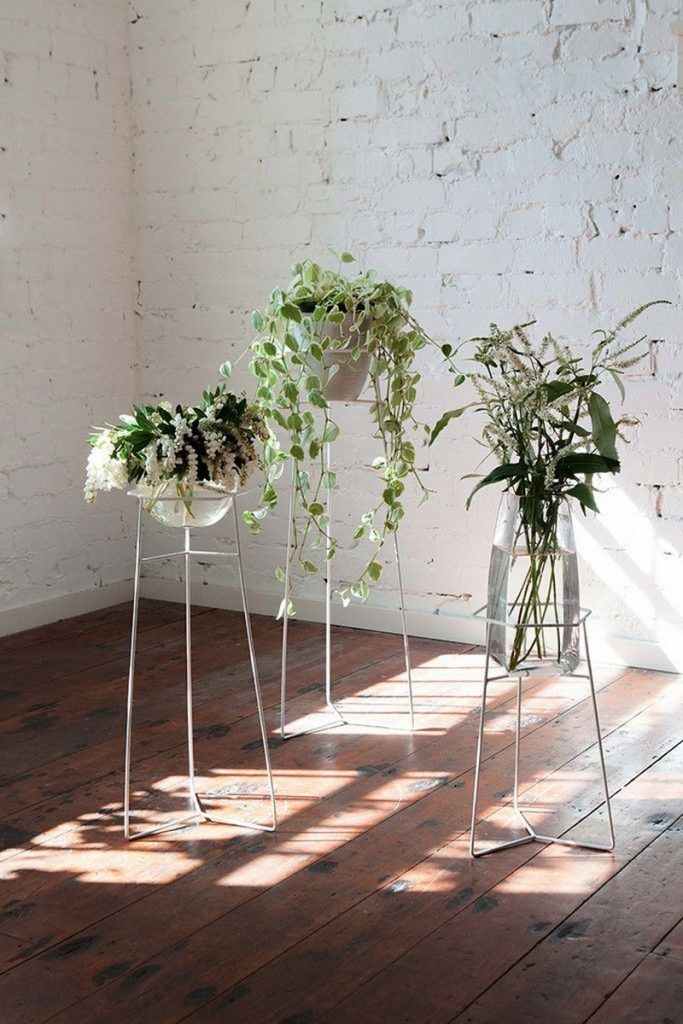 Amazing Ways to Display Indoor Plants