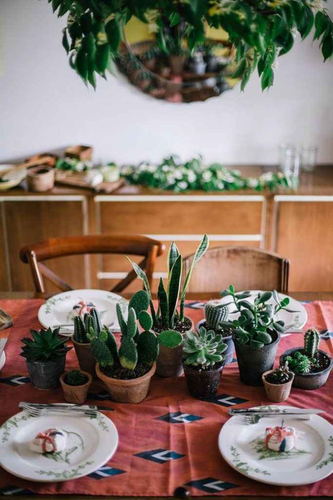 Amazing Ways to Display Indoor Plants