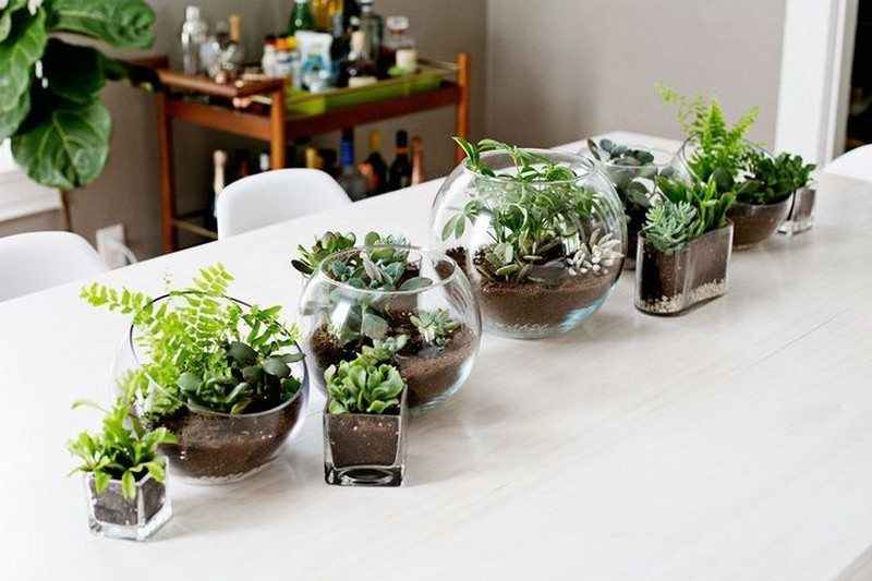 Amazing Ways to Display Indoor Plants