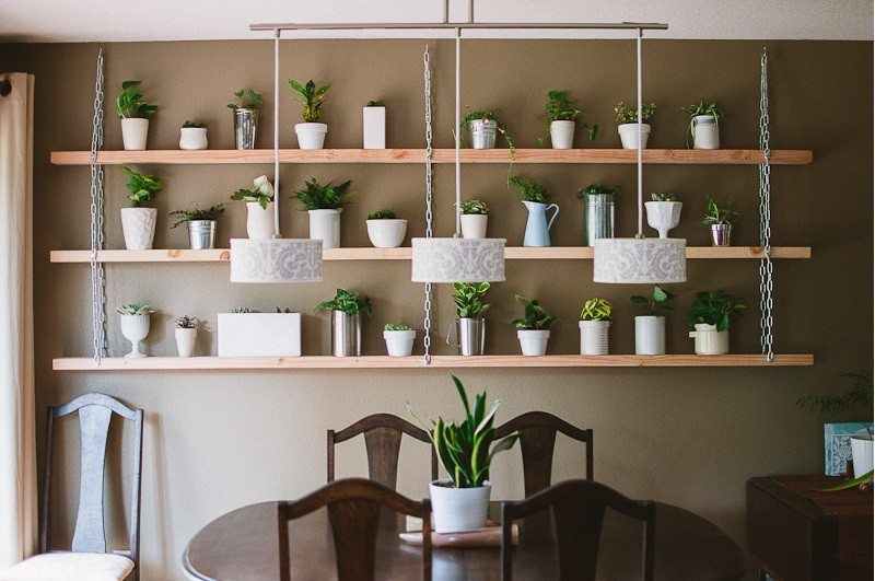 Amazing Ways to Display Indoor Plants