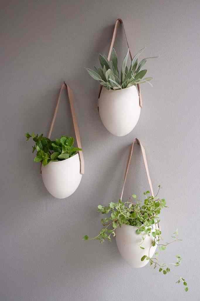 Amazing Ways to Display Indoor Plants