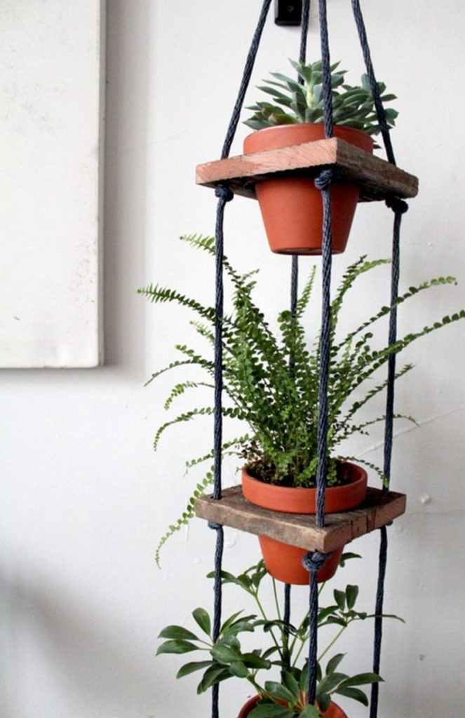 Amazing Ways to Display Indoor Plants
