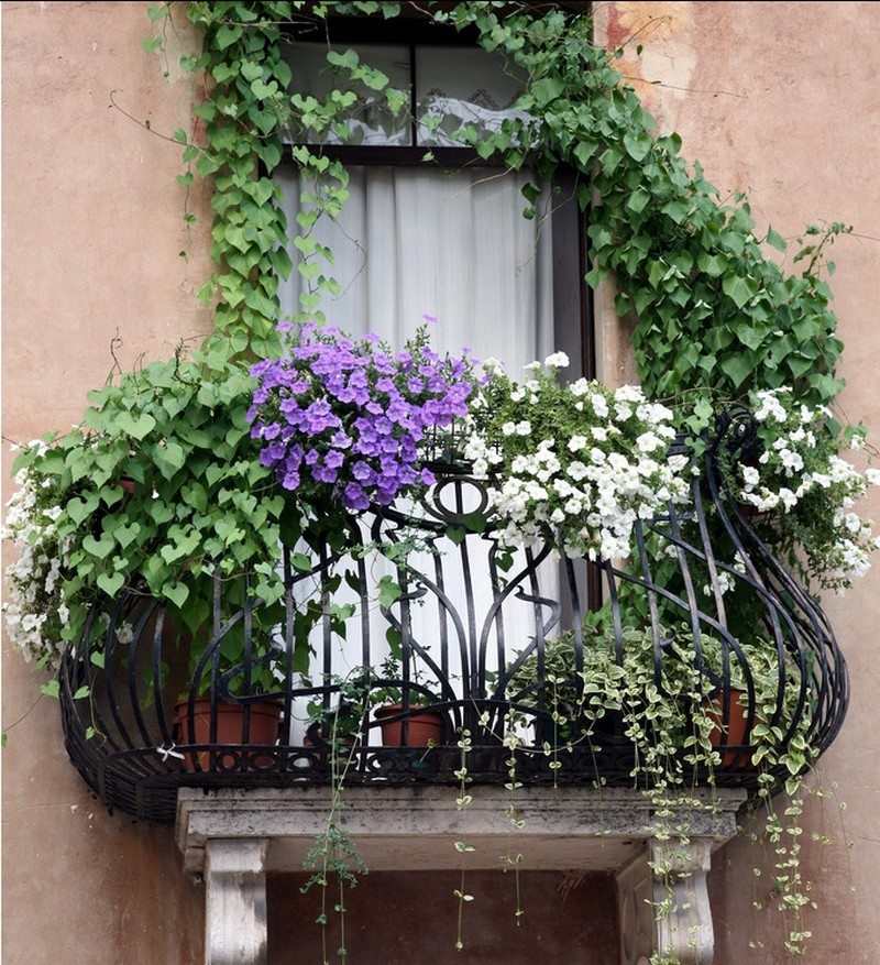 Balcony Gardens