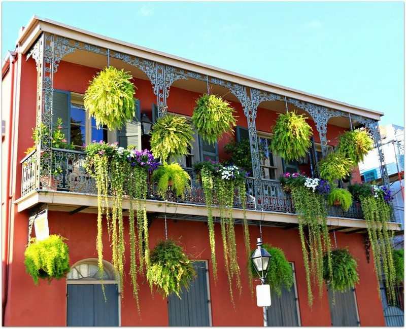 Balcony Gardens