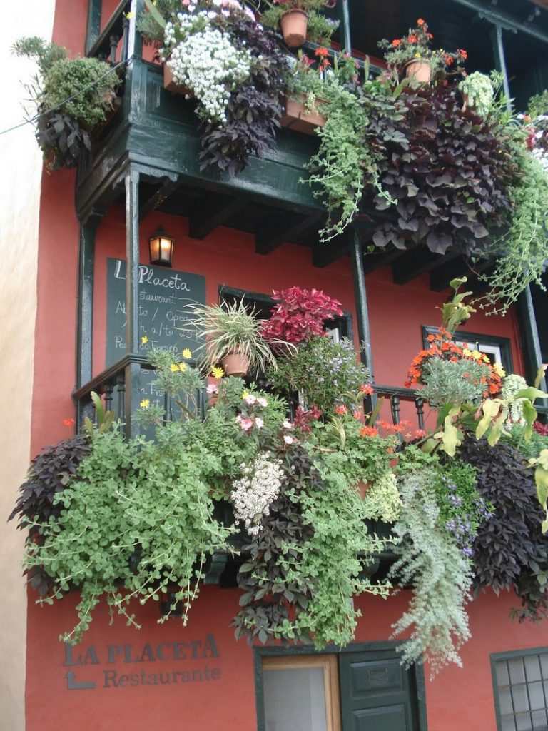 Balcony Gardens