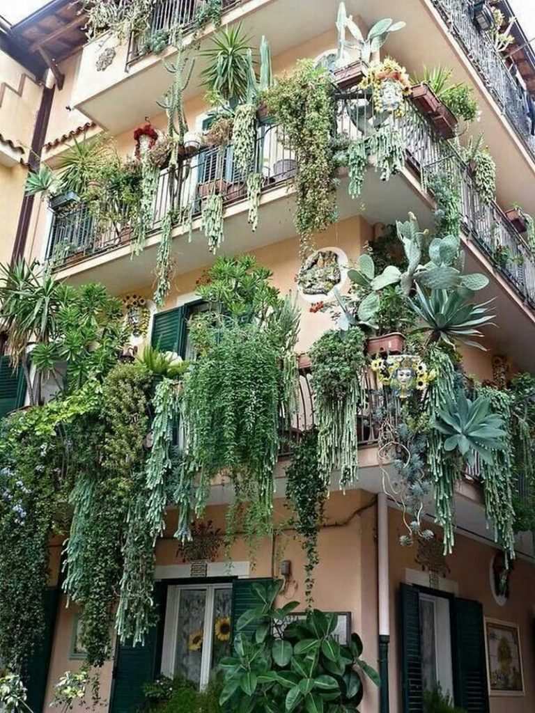 Balcony Gardens
